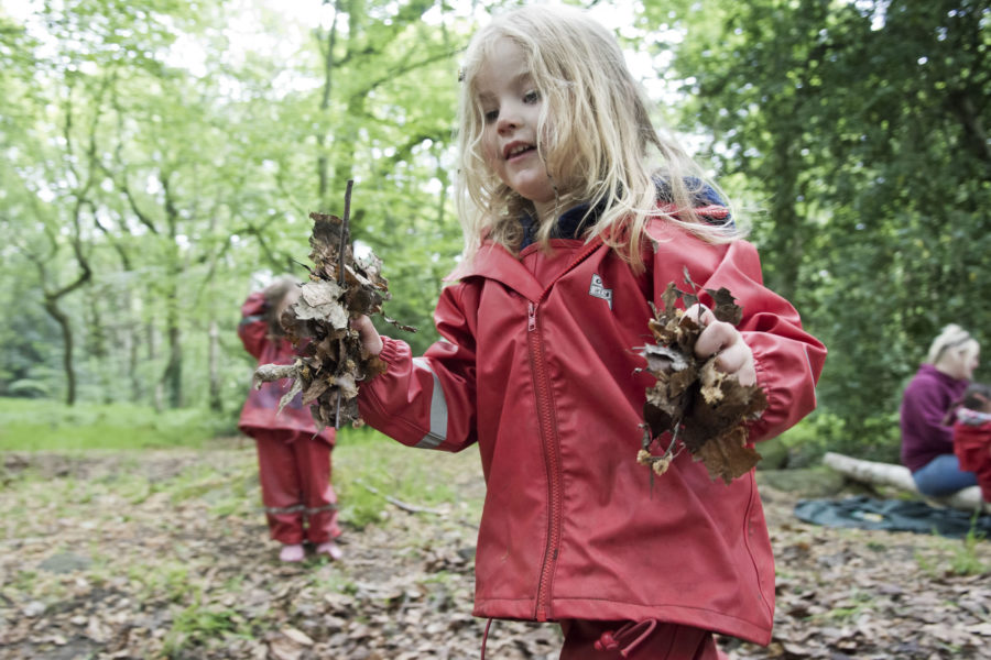 Middlewood Gallery Forest Schools Kindergartens
